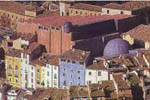 museo ciencias cuenca